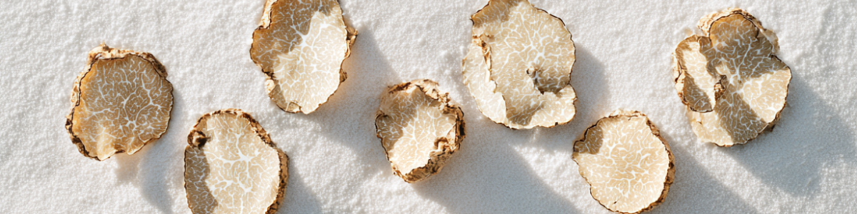 Korean skincare brands clean beauty vegan cosmetic makeup