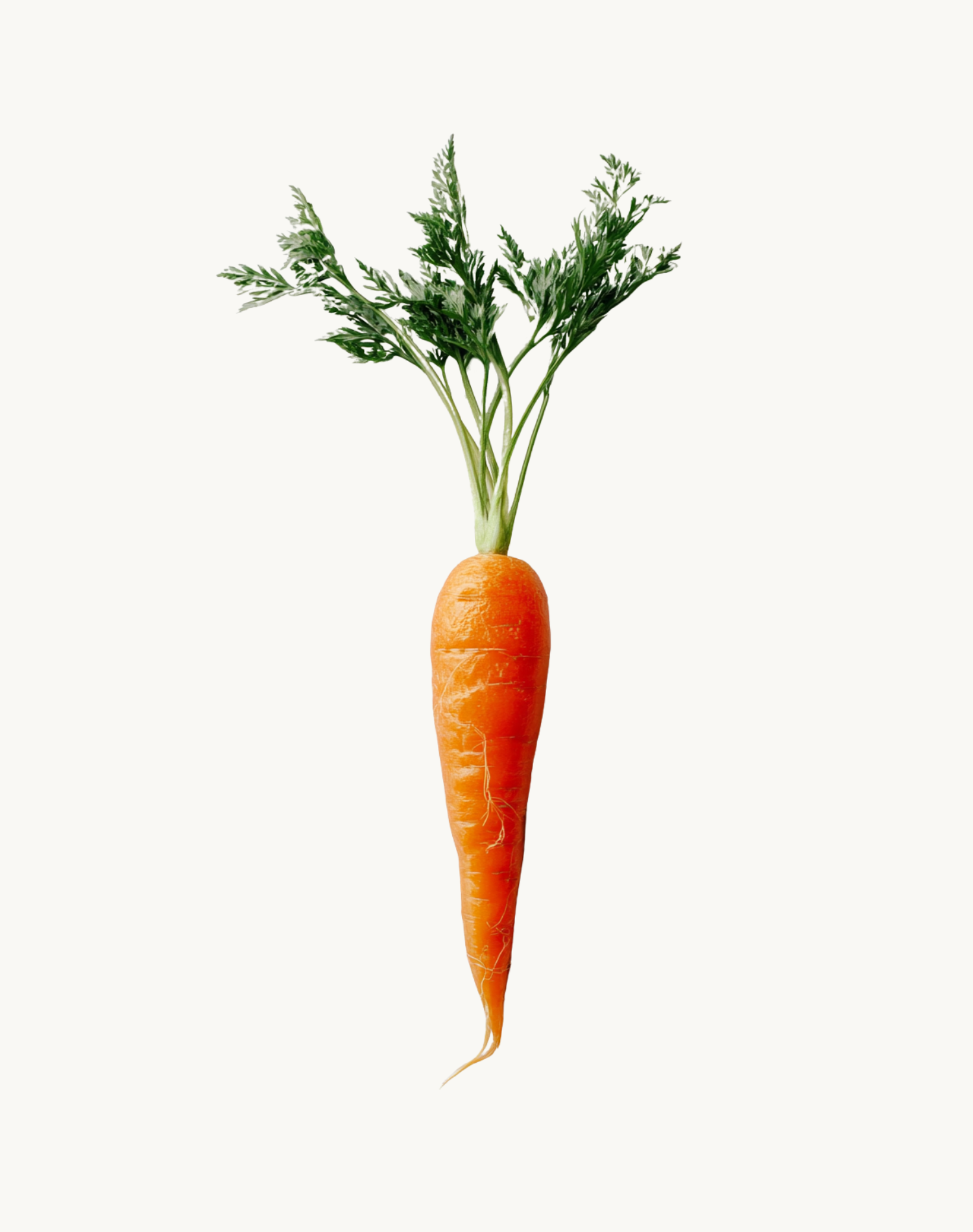 Korean Skincare Skinfood Carrot carotene Calming Water Toner Pad Carrot