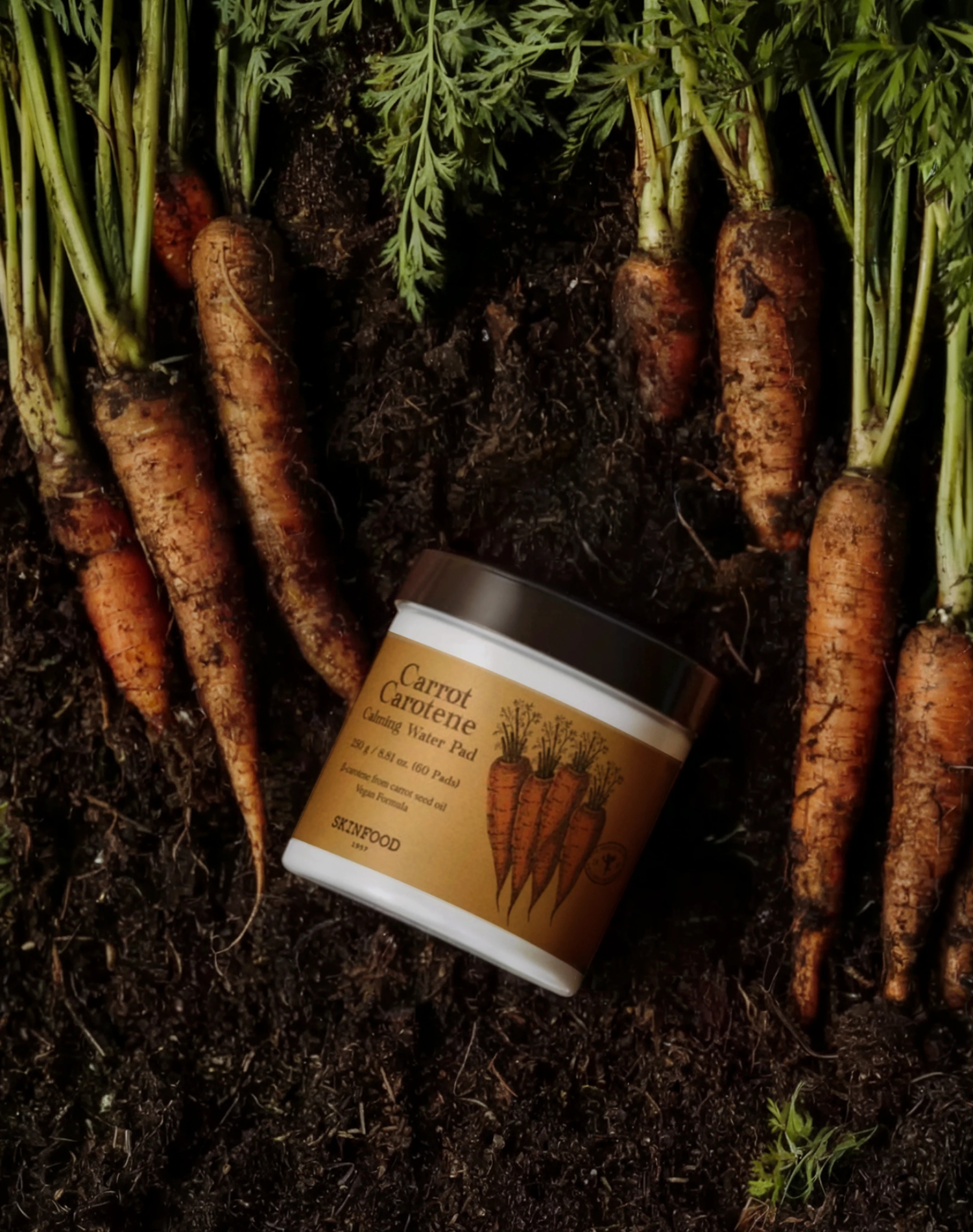 Korean Skincare Skinfood Carrot carotene Calming Water Toner Pad Product Photo