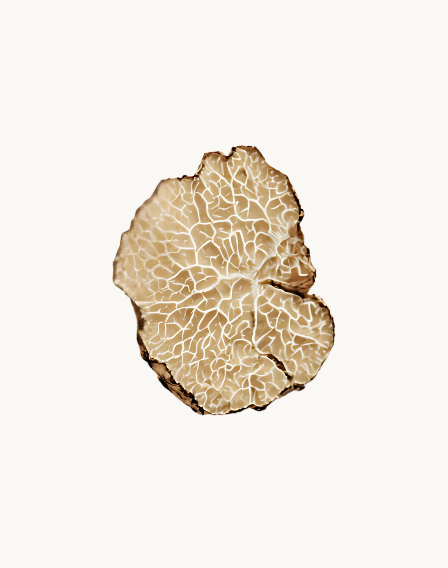 Korean Skincare d’Alba Piedmont Italian White Truffle Nourishing Treatment Sheet Mask Italian White Truffle