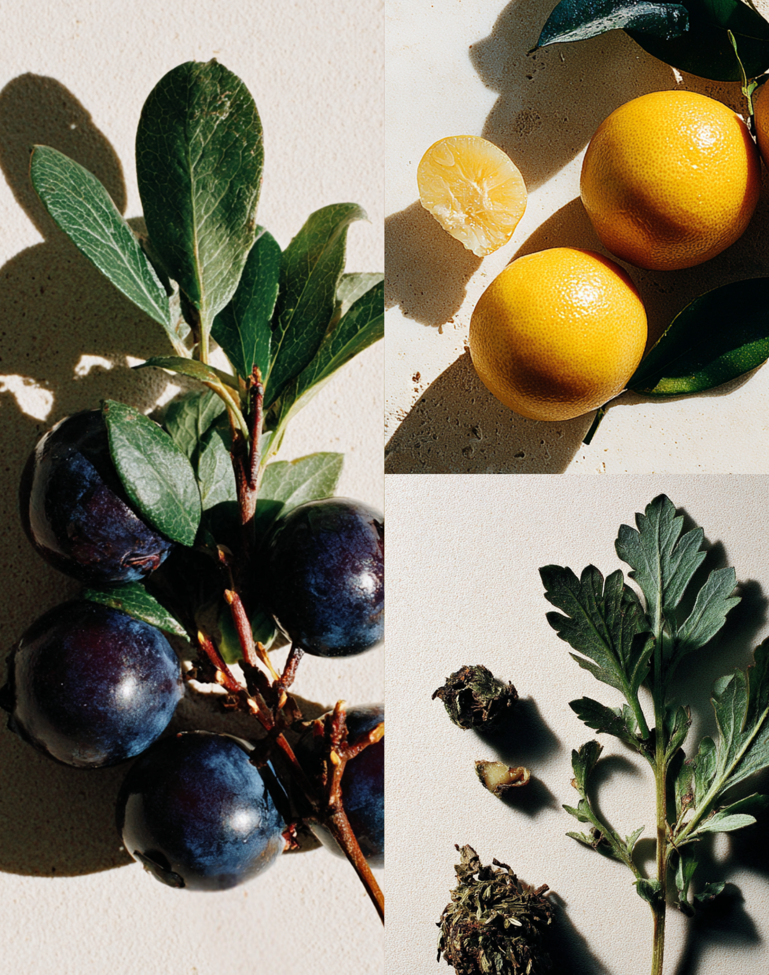 Korean Skincare Neogen Real Fresh Blueberry Foam Cleanser Photo