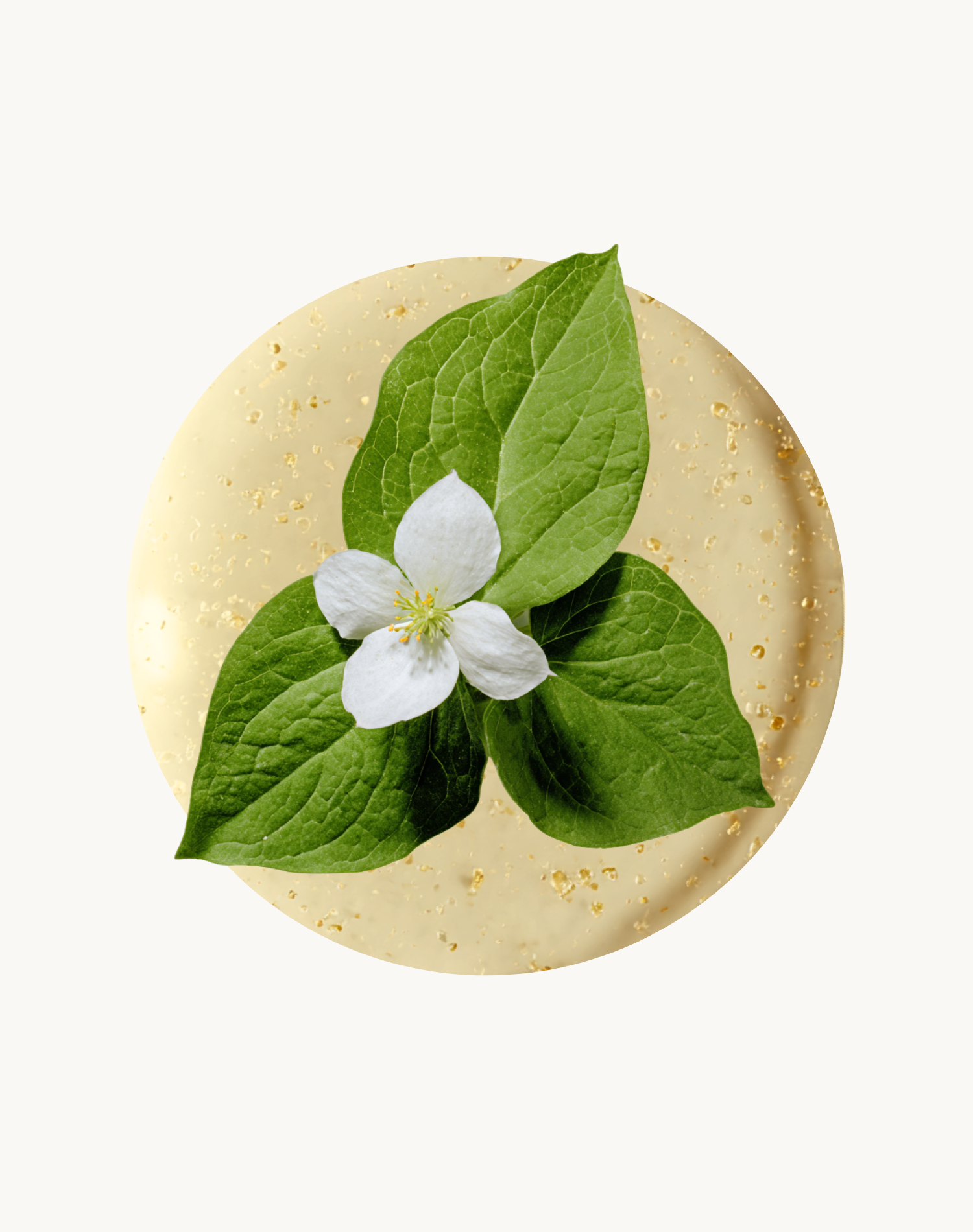 Korean Skincare One Thing Hottuynia Cordata Heartleaf pH Balancing Clarifying Cleanser Texture With Heartleaf