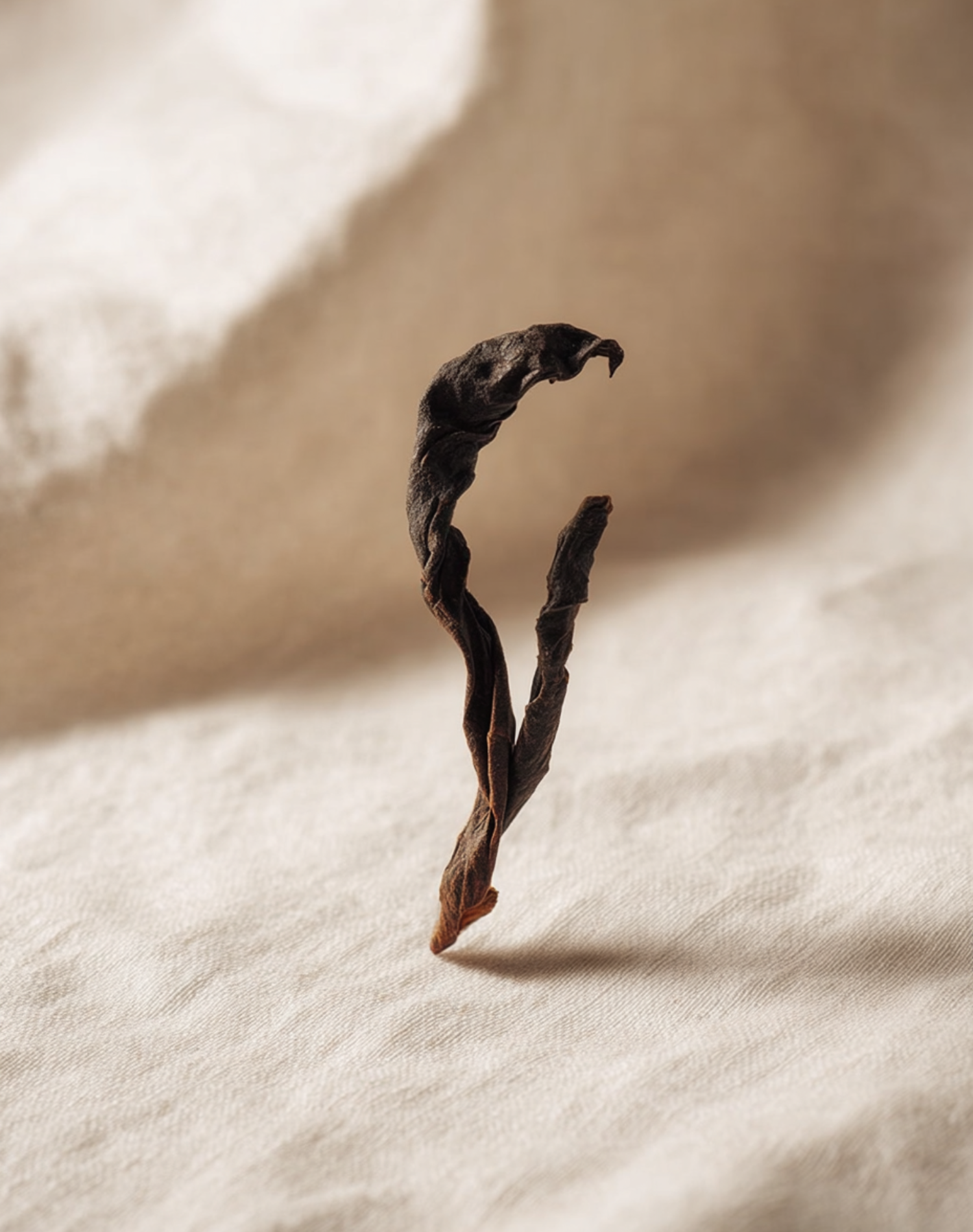 Korean Skincare Pyunkang Yul Black Tea Revitalizing Sheet Mask Black Tea