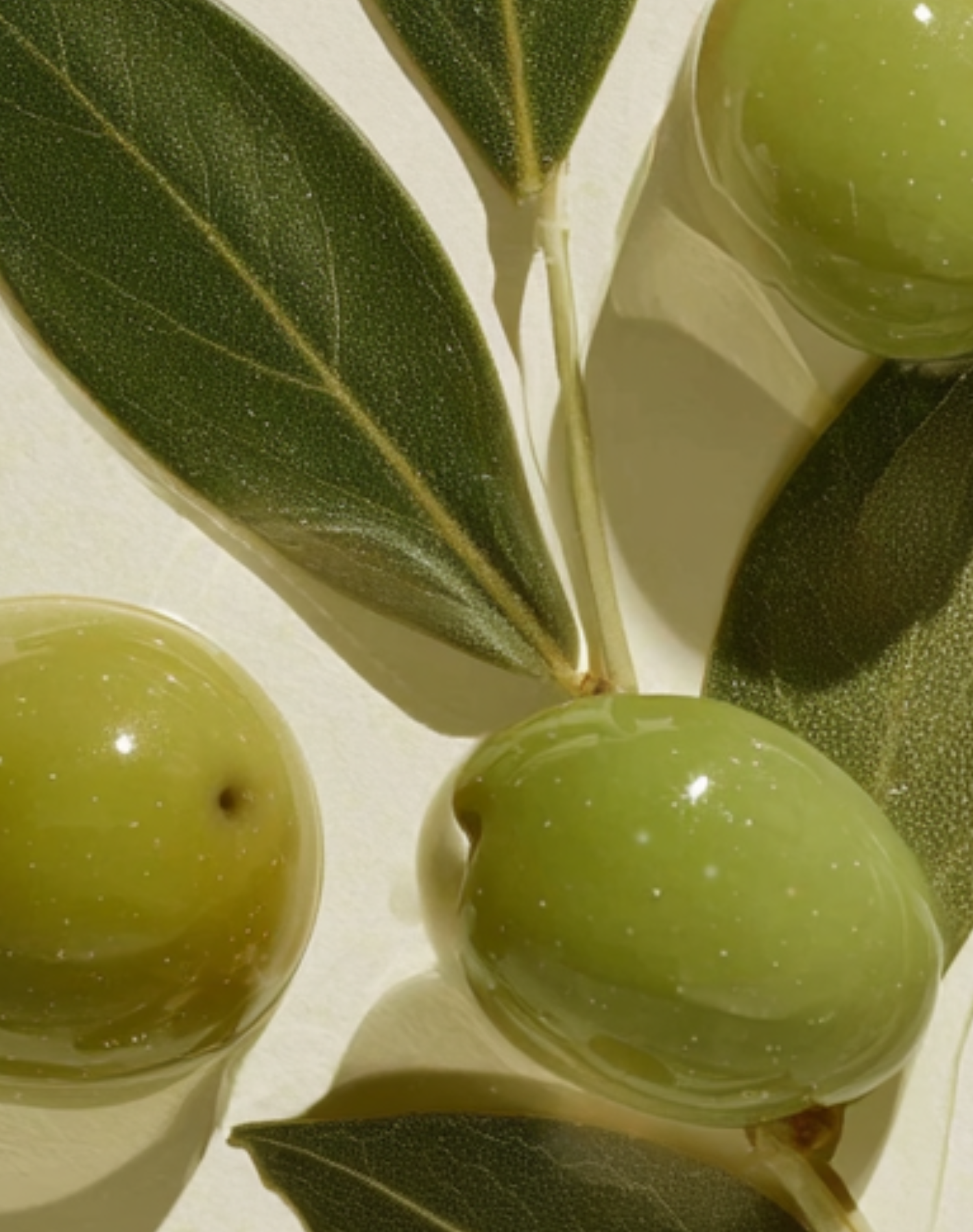 Korean Skincare Resaltz Gua Sha Basil Shampoo Bar Olive