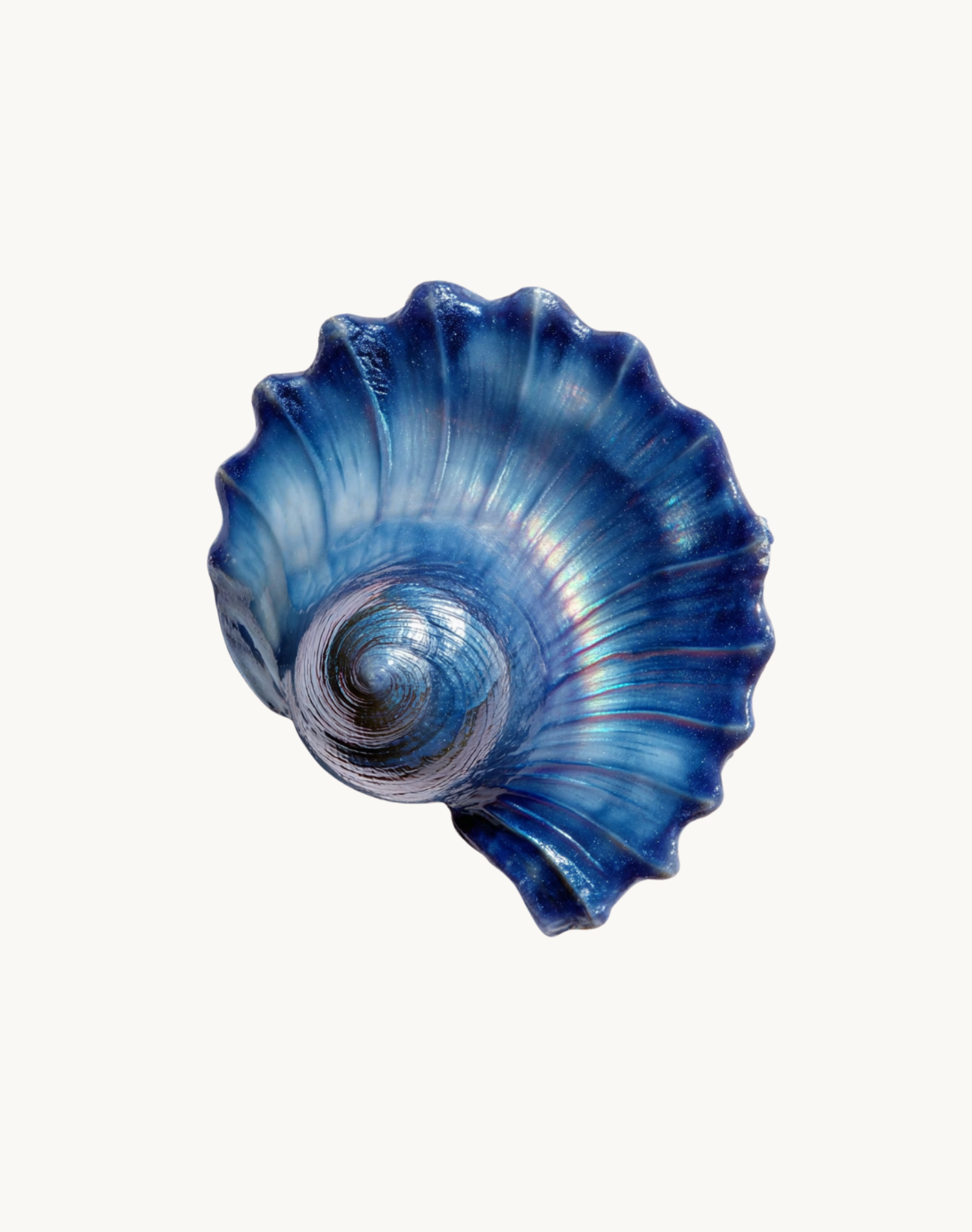 Korean Skincare Round Lab 1025 Dokdo Sea Shell