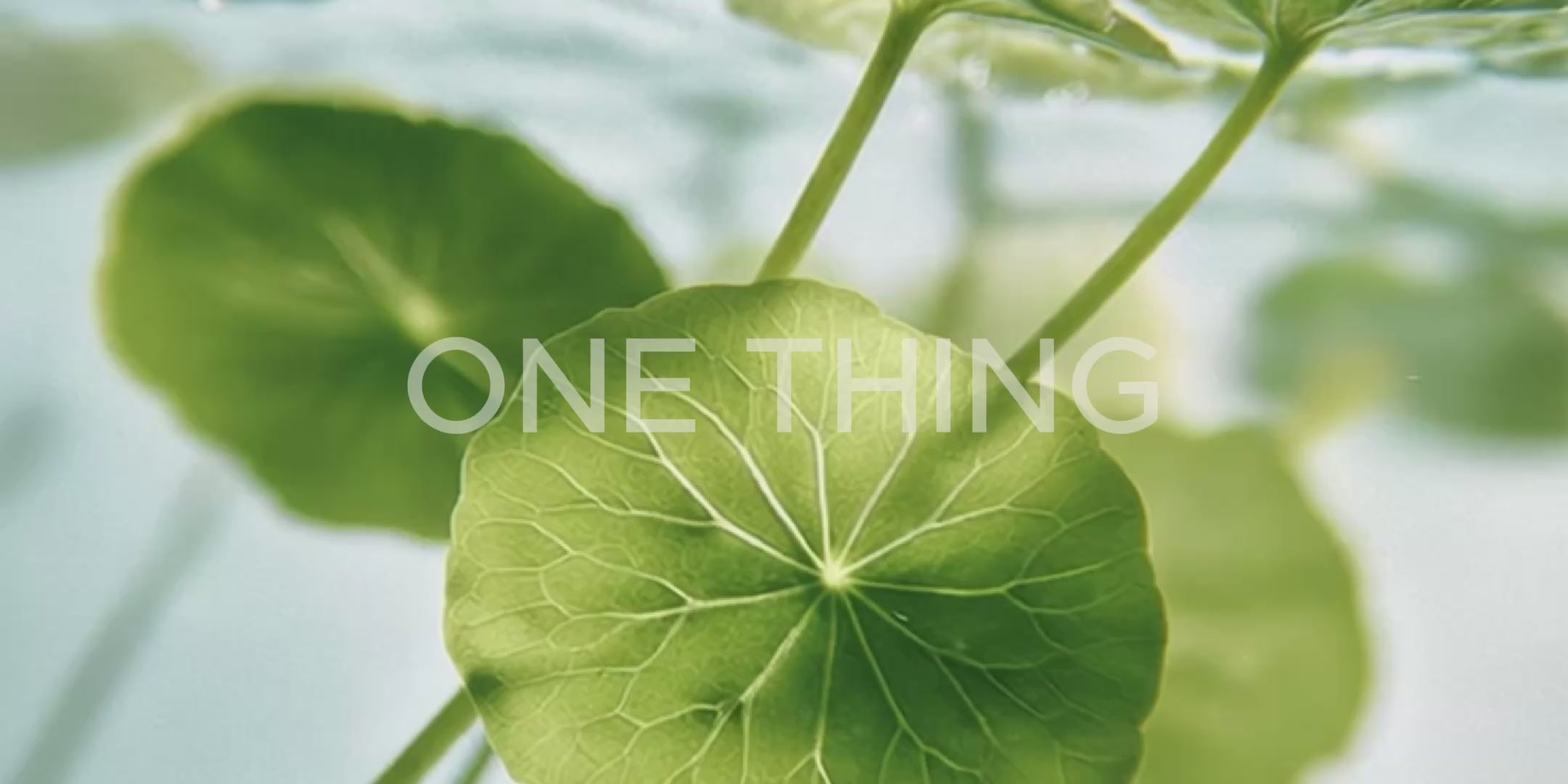 Korean Skincare One Thing Video