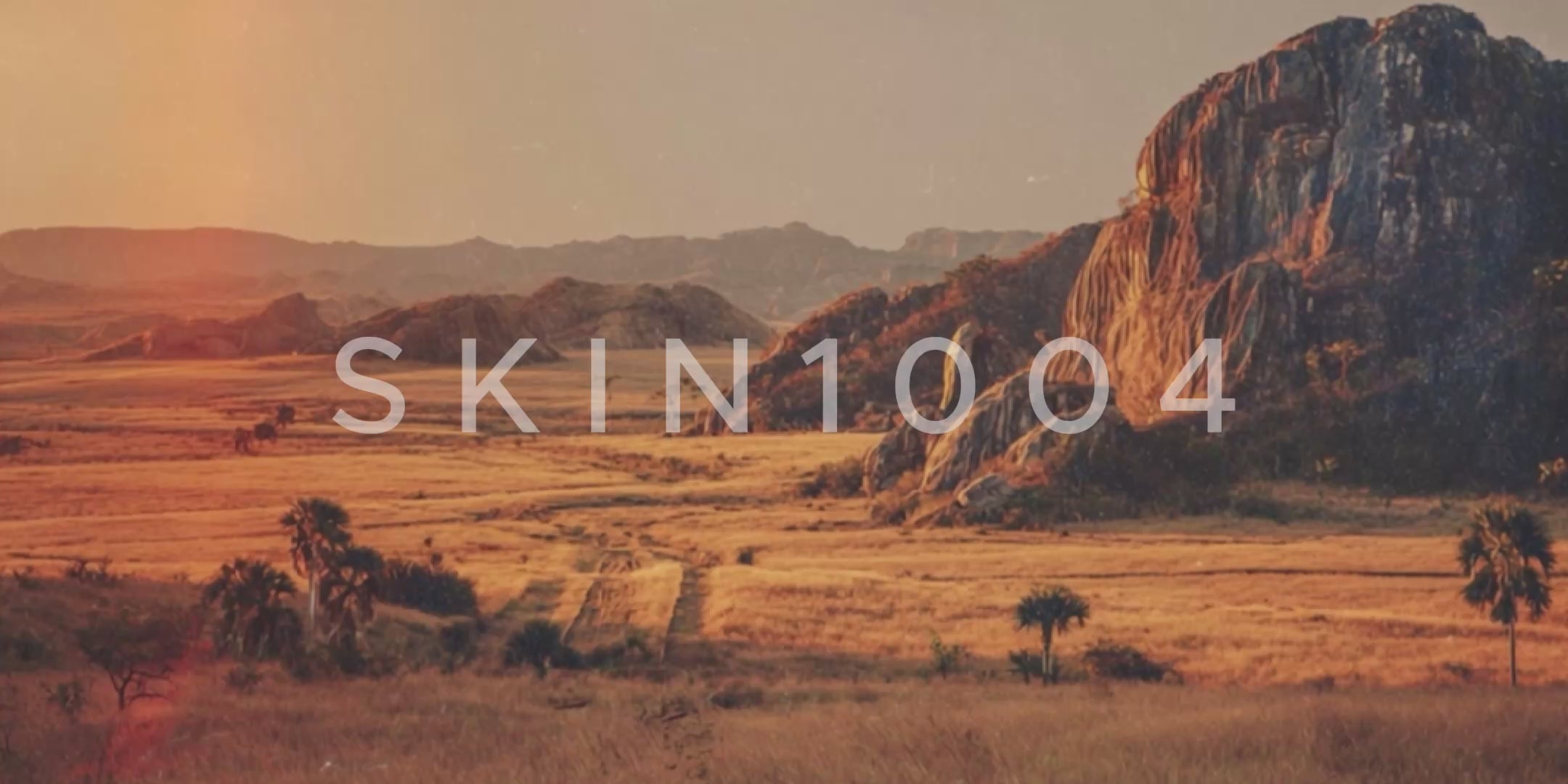 Korean Skincare Skin1004 Video