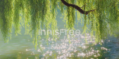 Korean Skincare Innisfree Video