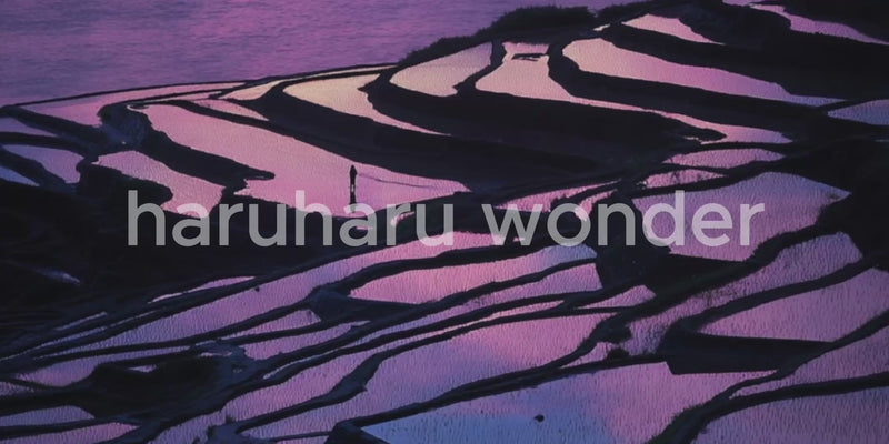 Korean Skincare Haruharu Wonder Video