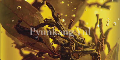 Korean Skincare Pyunkang Yul Video