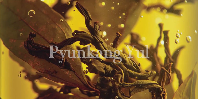 Korean Skincare Pyunkang Yul Video